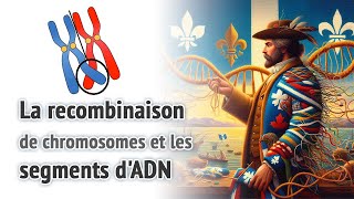 La recombinaison de chromosomes et les segments dADN [upl. by Ajat]