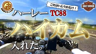 【TC88】トルクお化けに変身！？ハーレーにハイカム入れたら激変した！【HarleyDavidsonモトブログ】 [upl. by Oiramaj]