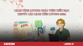 Cách tính lương giáo viên tiểu học trước cải cách tiền lương 2024 Báo Lao Động [upl. by Airehs]