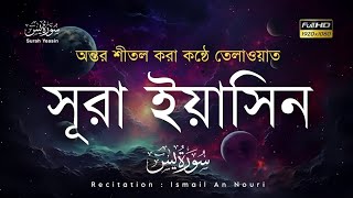 সূরা ইয়াসিন يٰس  মন জুড়ানো তেলাওয়াত  sura yasin bangla  recited by ismail an nouri [upl. by Tsuda44]