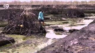 Nigeria Oil pollution in the Niger Delta  Global 3000 [upl. by Jollanta447]