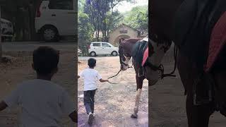 Horse Power  Walk With Horse  Mishant Vlog  2024 [upl. by Itram722]