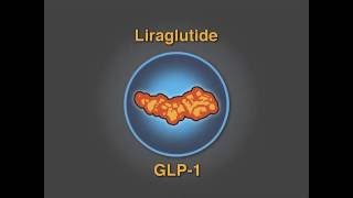 Liraglutide for Weight Loss EXPLAINED Obesity Doctor [upl. by Camile]