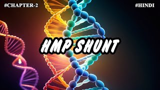 Chapter 2  Metabolism Of Carbohydrates Part11  HMP Shunt [upl. by Rapsag979]