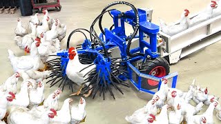 Broiler Farming Technology  Catching Chicken By Machine  Million Dollars Poultry Processing Line [upl. by Natsreik]