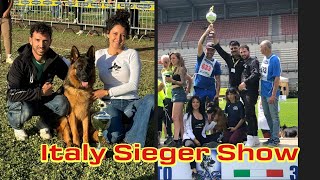 German Shepherd Italy Sieger Show germanshepherd doglover dogshow2024 [upl. by Humbert708]