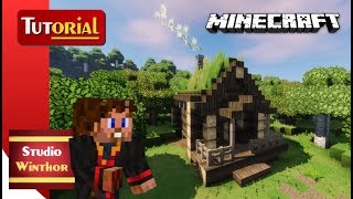 Minecraft Tutorial Basics  Blockhaus mit Grasdach und Inneneinrichtung [upl. by Aikenat]