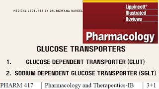 Glucose Transporters GLUTs and SGLTs  Lippincott pharmacology Chapter 24  Lecture  9 [upl. by Nallid]