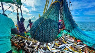 Amazing Fishing We Caught Lots Of Pomfret ampKing Fishes In Single Catch DAY2 I EP2 [upl. by Benedicta43]