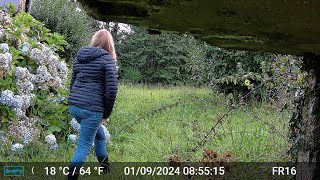 Videos Only Edit GardePro A3 Trail Camera 4 of 10 FR16 Côtes dArmor Brittany France Part 1 [upl. by Vogeley]