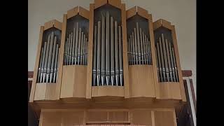 J S Bach  quotJesus bleibet meine Freudequot BWV 147  Chorał z Kantaty 147 [upl. by Sirahc]