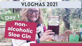 How to make nonalcoholic Sloe Gin [upl. by Diraf]