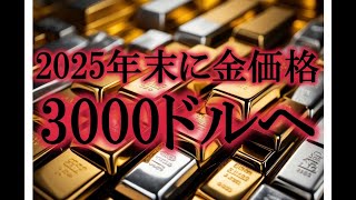 金価格3000ドルへ [upl. by Galven619]