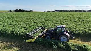 Swathing Arable Silage [upl. by Ahselaf]