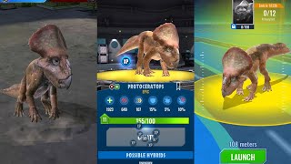 Create new Protoceratops  Jurassic world alive [upl. by Corabel]