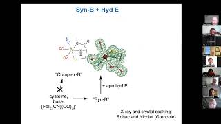 Hydrogenase Lectures 2022 Episode 3 Part 2 Tom Rauchfuss [upl. by Laurene]