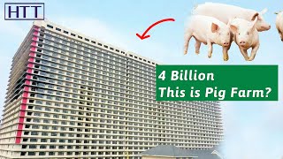 4 billion to build a 26 story building to raise pigs China’s profitable high tech farm [upl. by Brunell]