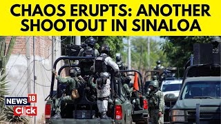 Mexico Shootout News Shootout In Sinaloa State Kills 19  Local Cartel Leader Arrested  N18G [upl. by Sachsse742]