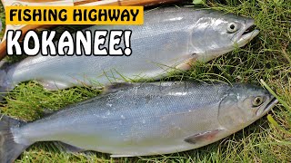 KOKANEE FISHING ON THE FISHING HIGHWAY  Deka and Hathoway Lake BC Canada  Fishing with Rod [upl. by Pachston234]