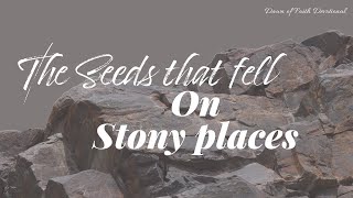 Episode 32 The Seeds That Fell On Stony Places [upl. by Alihs96]