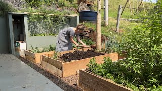 HORTA COM COMPOSTAGEM  FOSSA BIODIGESTORA  TRABALHOS NA CHÁCARA [upl. by Keverian689]