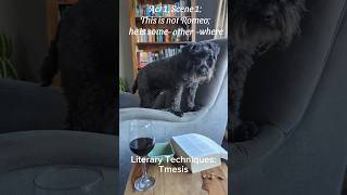 Literary Techniques Tmesis dog [upl. by Buckley107]