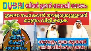 Dubai job vacancy 2024 Malayalam UAE job vacancy Gulf job vacancy Malayalam  Today job vacancy [upl. by Batha]