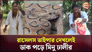 বিষধর রাসেলস ভাইপার ধরাই এখন নেশা মিনু ঢালীর  Russells Viper  Shariatpur  Channel 24 [upl. by Repmek]