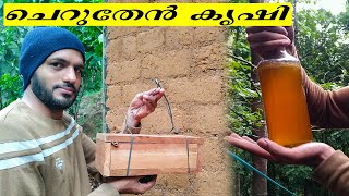 ചെറുതേൻ കൃഷി  Stingless Bee Farming Malayalam [upl. by Ertsevlis316]