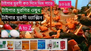 টাইগার মুরগির ওষুধ Tiger murgi Koto dine dim Pare A to z [upl. by Katlin996]