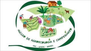 O que é agroecologia  Conversas sobre Agroecologia 03 [upl. by Hardden267]