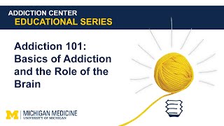 Addiction 101 Basics of Addiction and the Role of the Brain [upl. by Asemaj]