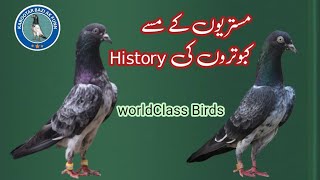 History of Missay Kabootar Mistirion Walay kabootar [upl. by Orin]