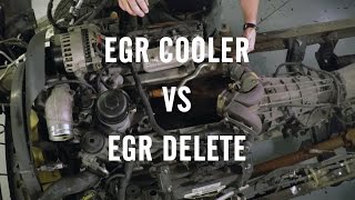 EGR Delete or EGR Cooler [upl. by Lonnard]