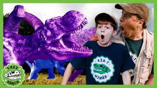 GIANT TRex Mutant  🦖🦕 TRex Ranch Dinosaur Videos [upl. by Selin357]