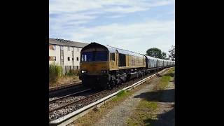 Shiny Gold GBRf Class 66 Locomotive Hauls A Full Rake Of Empty Drax Biomass Wagons class66 gbrf [upl. by Ayikur417]