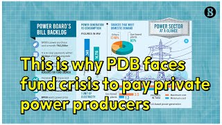 This Is Why PDB Faces Fund Crisis To Pay Private Power Producers  The Business Standard [upl. by Arretak478]