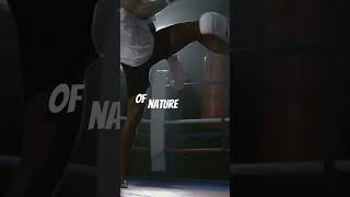 Top 5 Kickboxers of All Time [upl. by Supat987]