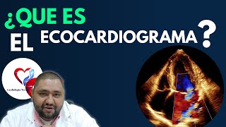 Ecocardiograma Te lo explico en 2 minutos [upl. by Magocsi]