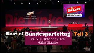 Parteitag des Grauens  Die Linke Teil 3 [upl. by Lakin254]