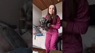 Get this for your pet after neutering surgery things you need dogsofyoutubeshorts vlog [upl. by Seessel]