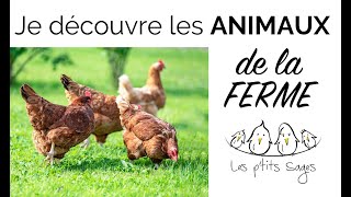 Animaux 1 Je découvre les animaux de la FERME [upl. by Nauqes358]