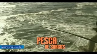 Pesca de Sargos em Suancescom quotAmancio GarciaquotEspanha 2016 [upl. by Lange282]