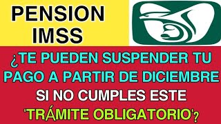 IMSS ¿Te pueden SUSPENDER tu pago a partir de DICIEMBRE si no cumples este ‘trámite OBLIGATORIO’ [upl. by Elehcir797]