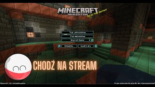 🔴Na żywo  Wieczorny stream budowanie państw w Minecraft [upl. by Dell]