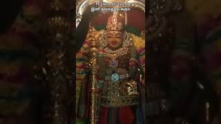 palani murugan murugan kumaranraja alangaram [upl. by Anawait]