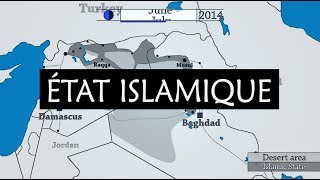 État Islamique  Résumé de la guerre contre Daech [upl. by Inaja706]