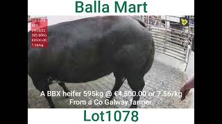 ballamart 121024 four breeding heifers that made from €4200 to €5600 [upl. by Leihcim92]