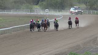 Walgett 15 06 2024 Race 6 [upl. by Rudyard524]