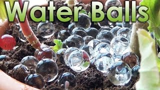 What is Water Balls Sodium Polyacrylate and Chemistry [upl. by Adelbert]